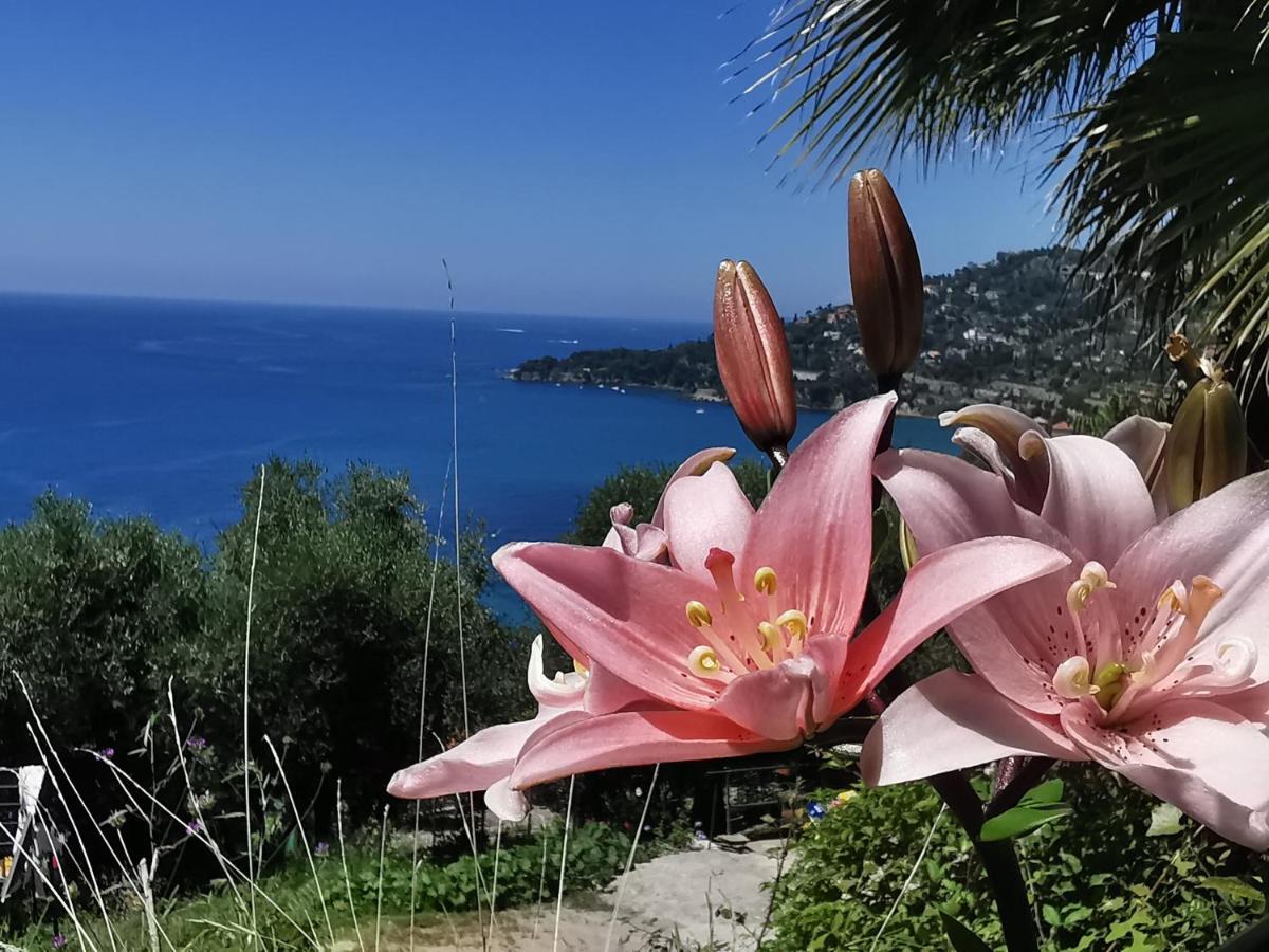 Romantic Casa Lorenzina Affittacamere Ventimiglia Exterior foto