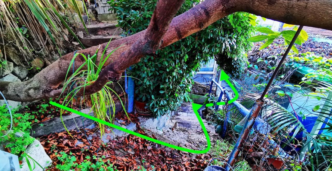 Romantic Casa Lorenzina Affittacamere Ventimiglia Exterior foto