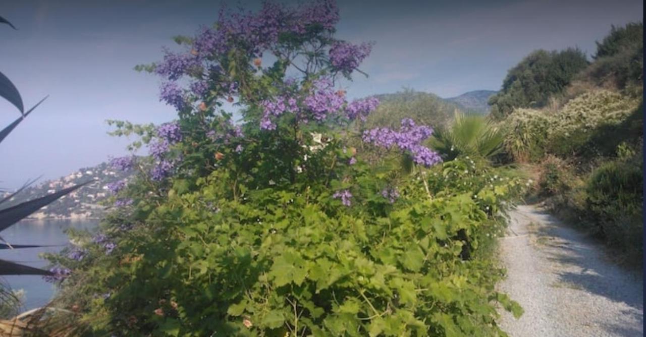 Romantic Casa Lorenzina Affittacamere Ventimiglia Exterior foto